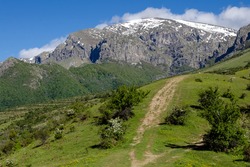 Green forest and tourist path to Botev peak, Stara Planina mountain, Bulgaria