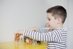 Caucasian toddler child playing with animal figurines toys in light room interior