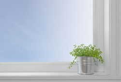 Green plant on a window sill, in a modern home, with blue sky seen through the window.