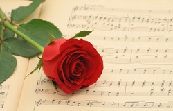 Vintage sheet music with red rose - focus on the rose (shallow DOF)