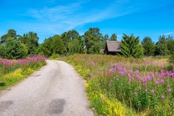 Scenic landscape with country road. Estonia, Europe
