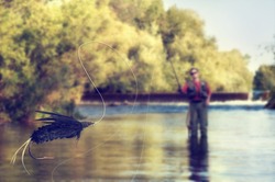 a person fly fishing in a river with a fly in the foreground