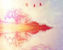 herons flying over a lake and trees done with a retro vintage instagram filter