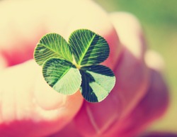 a hand holding a four leaf clover toned with a retro vintage instagram filter (very shallow depth of field) good for luck or st patrick's day 