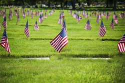 flag on the graves of soldiers on veterans day in a cemetary