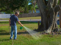 Homeowner man spraying weed killer on his front yard with a hose attachment full of chemicals that kills weeds and fertilizes the grass.