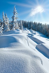Snowdrifts on winter snow covered mountainside, fir trees on hill top and sun shine in blue sky