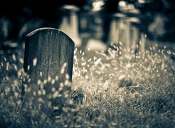 Old headstone covered in grass in a graveyard