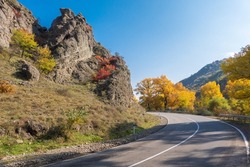 Curvy asphalt road going through mountainous terrain with yellow trees against cloudless blue sky on autumn day in nature