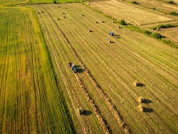 Aerial drone view of blue tractor collecting and rolling hay after harvest in agricultural filed on sunny summer day on farmland