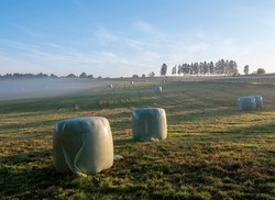 hay bales in misty early morning meadow between vielsalm and sankt vith in belgian ardennes part of hautes fagnes