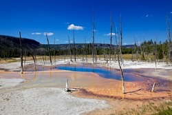 Opalescent pool in Yellowstone National park