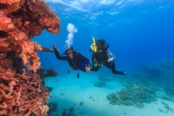 Explorer people underwater . Two adult person diving in first time on tropical reef with blue background, beautiful coral and small fish. Man pointing on top and holding woman by hand.