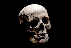 Human skull isolated on black background