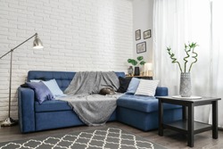 Bright living room in scandinavian style with blue couch, decorative pillows, white brick wall and white curtains. Design interior concept.