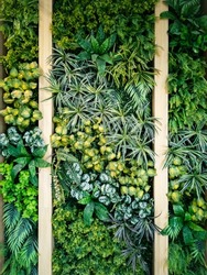 Vertical green wall with wooden fence background, Artificial decorative interior wall. Close up variety leaves backdrop.