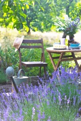 garden and tea party at the country style. still life - сherry pie, cups, dishes and a vase with wildflowers. watering can and lavender in the foreground
