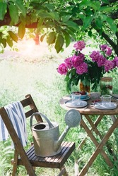 garden and tea party at the country style. still life - donuts, dishes and a vase with pink peonies. girl puts donuts on a plate