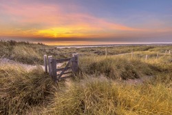 Trail through dune landscape on the coastline of North Sea. Wijk aan Zee, North Holland, Netherlands. Marine landscape in nature of Europe.