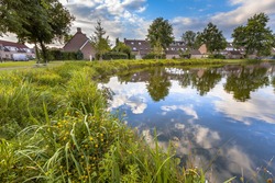 Eco friendly bank of pond with gentle slope to stimulate growth of wildflowers and swamp vegetation in a recreational ecological park in Soest, Netherlands