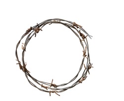 crown of thorns isolated