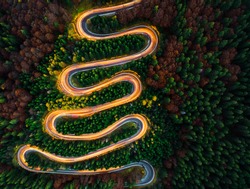 Aerial view of light trails on a winding road through the forest at night