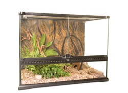 terrarium for reptile in front of white background