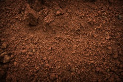Soil on the ground as texture and background.