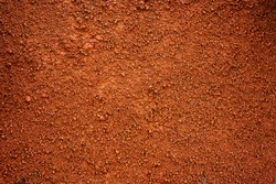 Brown dirt (soil) as background.