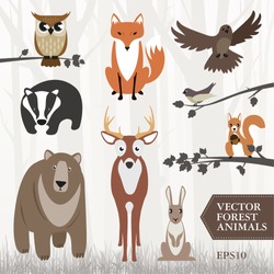 Set of vector illustrated forest animals