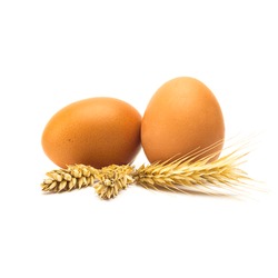 group of two eggs with wheat ears isolated on white 