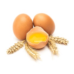  group of three hen eggs with wheat ears isolated on white