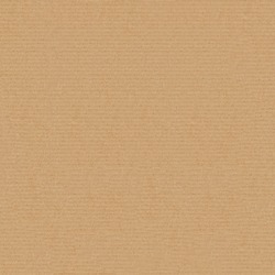Seamless pattern of cardboard for continuous replicate.