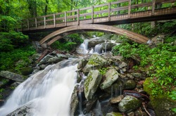 Blue Ridge Mountains Tanawha Trail Bridge Over Waterfall