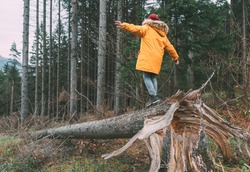 Boy in bright yellow puffer jacket walks in pine forest balancing on the falling tree. People and Nature concept image.