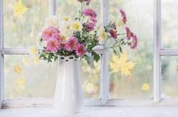 chrysanthemums in  vase on  windowsill in autumn