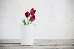tulips on white grunge background