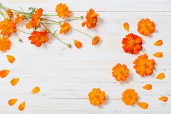 orange summer flowers on white wooden background