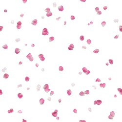repeatable floating, scattered, different, pink rose petals, studio photographed, in depth of field, being brighter at the distance, isolated on white