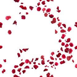 seamless, red rose petals breeze, studio photographed in depth of field, isolated on white