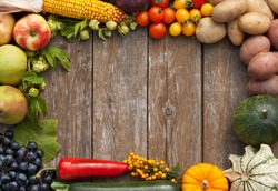 frame of vegetables and fruits/harvest/autumn