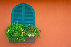 window and flowerpot