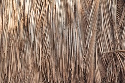 Building or fence wall texture background with dry palm leaves, reed, bamboo, or straw. Natural materials for a home in tropical places in India. Ecological conditions in the village.