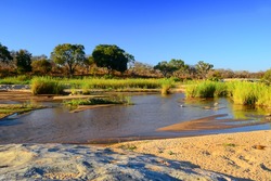African Landscape in Kruger National Park, South Africa