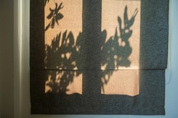 Brown curtain with tree leaf light shade at sunrise in early morning. House iInterior design.