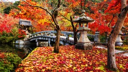 Eikando or Eikan-do Zenrinji shrine and bridge with red, yellow maple carpet at peak autumn foliage color during late November in Kyoto, Japan. Famous landmark to see fall leaf with beautiful garden.
