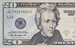 twenty paper dollars bill macro 