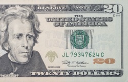 Macro shot of 20 US dollars bill 