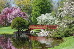 Footbridges and Spring Blossoms at Dow Gardens, Midland, Michigan