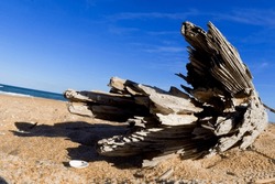 A piece of driftwood lies on a secluded beach on a summers day